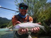 Ted group, Rainbow July sava river Slovenia trout